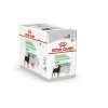 Royal Canin Digestive Care Adult Loaf våtfôr til hund 12x85 g