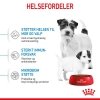 Royal Canin Mini Starter tørrfôr til hund og valp