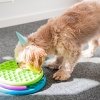 Nina Ottosson Lickin Layers Slow Feeder Puzzle