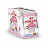 Royal Canin Kitten Jelly våtfôr til kattunge 12x85g