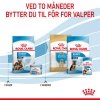 Royal Canin Maxi Starter tørrfôr til hund og valp