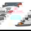 Royal Canin Hairball Care Gravy Adult våtfôr til katt 12x85g