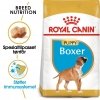 Royal Canin Boxer Puppy tørrfôr til hundvalp