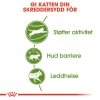 Royal Canin Outdoor Adult tørrfôr til katt