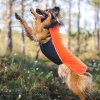 Jumppa Pomppa Dekken Habanero