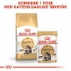 Royal Canin Maine Coon Adult tørrfôr til katt