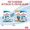 Royal Canin Mini Starter tørrfôr til hund og valp