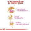 Royal Canin Maine Coon Kitten tørrfôr til kattunge