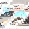 Royal Canin Indoor Long Hair Adult tørrfôr til katt