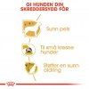 Royal Canin Yorkshire Terrier Adult tørrfôr til hund