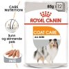 Royal Canin Coat Care Adult våtfôr til hund 12x85 g