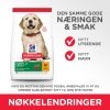Hills Science Plan Puppy Large Breed Chicken 14,5 kg
