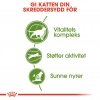Royal Canin Outdoor 7+ Ageing tørrfôr til katt