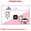 Royal Canin Kitten Gravy våtfôr til kattunge 12x85g