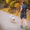 Non-stop Dogwear Trekking 2.0 Magebelte, svart