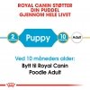 Royal Canin Poodle Puppy tørrfôr til hundvalp