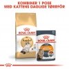 Royal Canin Ragdoll Adult tørrfôr til katt