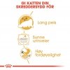 Royal Canin Persian Adult Loaf våtfôr til katt 12x85g