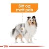 Royal Canin Coat Care Mini Adult tørrfôr til hund
