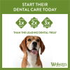 Whimzees Soft Dental tygg (S)
