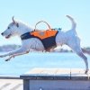 Non-Stop Dogwear Protector Redningsvest til hund, Oransje & Svart