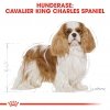 Royal Canin Cavalier King Charles Adult tørrfôr til hund