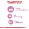 Royal Canin Mother & Babycat tørrfôr til katt og kattunge