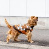 Little&Bigger Bearlie Hundegenser Brun