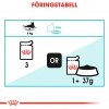 Royal Canin Urinary Care Gravy Adult våtfôr til katt 12x85g
