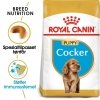 Royal Canin Cocker Puppy tørrfôr til hundvalp