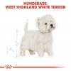 Royal Canin West Highland White Adult tørrfôr til hund