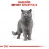 Royal Canin Breed British Shorthair Adult tørrfôr til katt