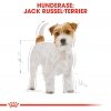 Royal Canin Jack Russel Adult tørrfôr til hund