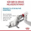 Royal Canin Babydog Milk melk til valp