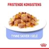 Royal Canin Light Weight Care Jelly Adult våtfôr til katt 12x85 g