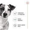 Royal Canin Mini Adult Gravy våtfôr til hund 12x85g