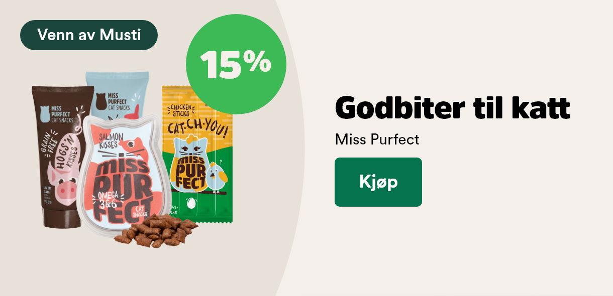 musti.no startside k1 miss purfect