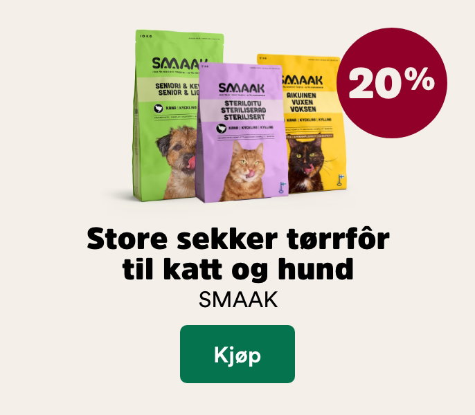 musti.no startside katt k6 smaak store sekker 20%