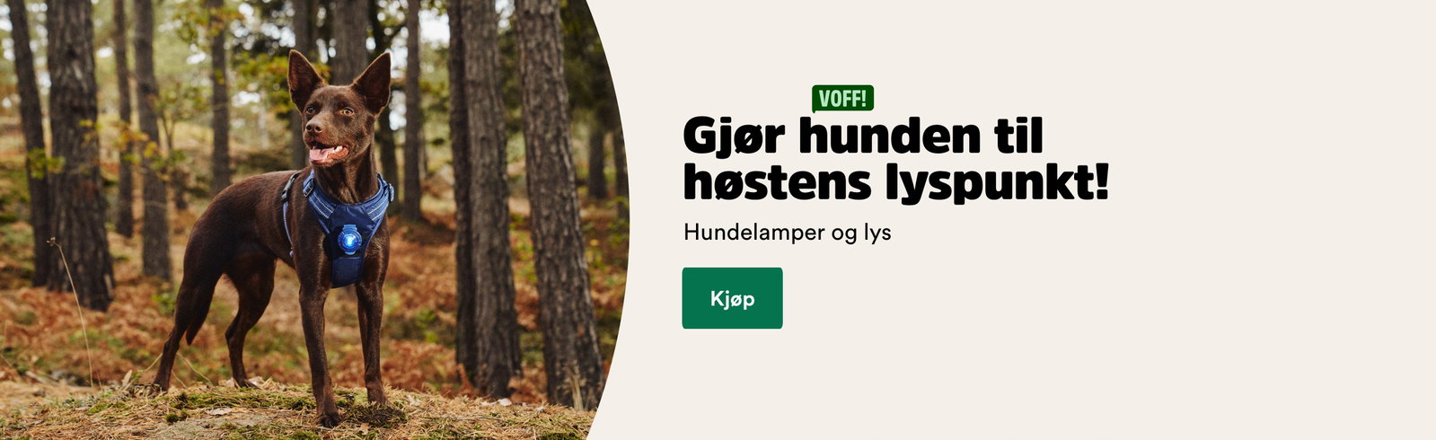 musti.no startside valp lys