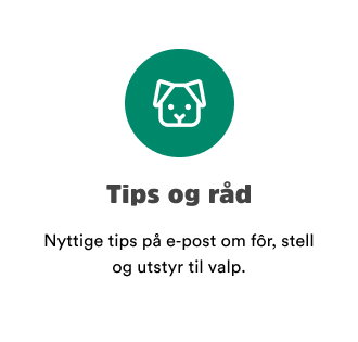 sm&aring;potene valp tips og r&aring;d