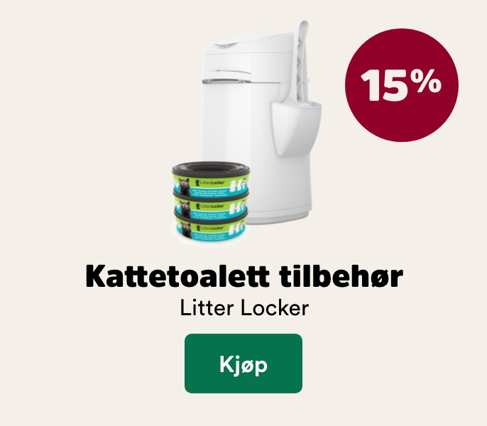 musti.no startside katt k6 litterlocker