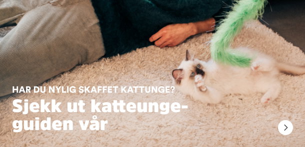 sm&aring;potene kattunge kattungeguide