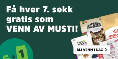 Ayollar pissing hukmronligi porno onlayn