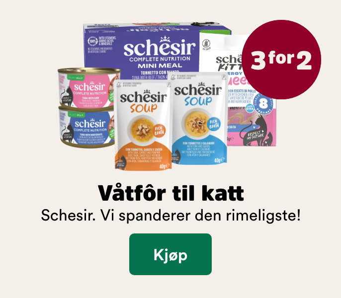 musti.no startside katt k9 schesir 3 for 2