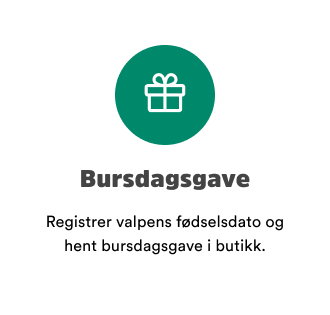 sm&aring;potene valp bursdagsgave