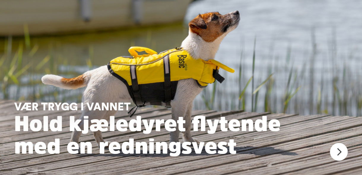 musti.no startside hund uplift flytevest