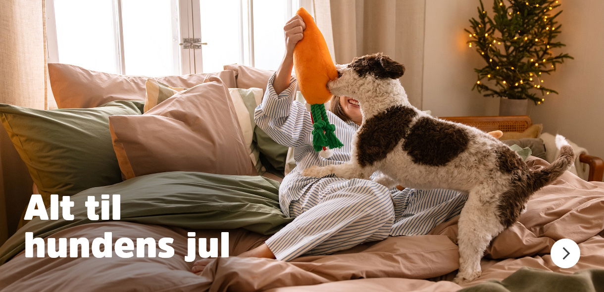 musti.no jul startside hundens jul