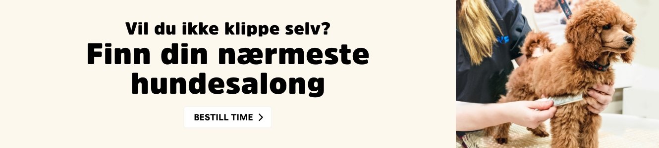 musti.no startside valp spa