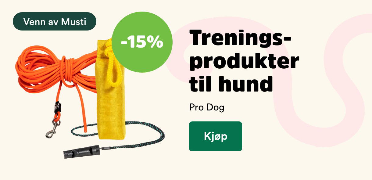 musti.no startside hund k11 prodog