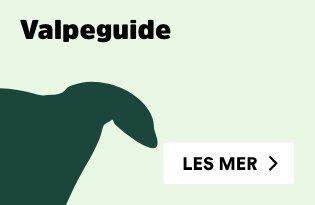 Valpeguide